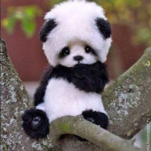 Meet your Posher, Iris